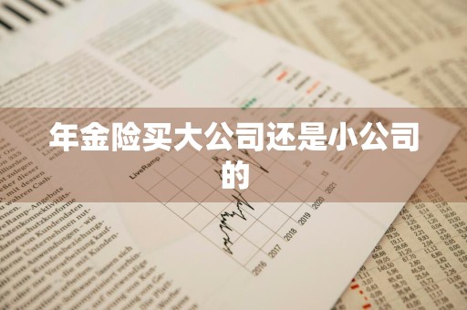 年金险买大公司还是小公司的
