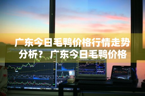 广东今日毛鸭价格行情走势分析？ 广东今日毛鸭价格行情走势分析图