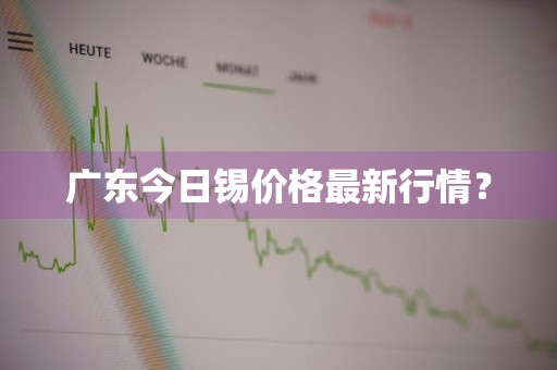 广东今日锡价格最新行情？