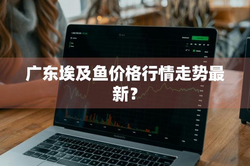 广东埃及鱼价格行情走势最新？