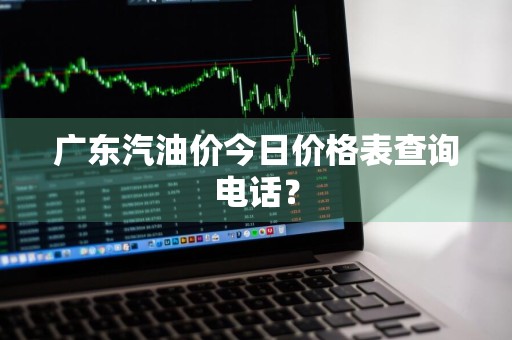广东汽油价今日价格表查询电话？