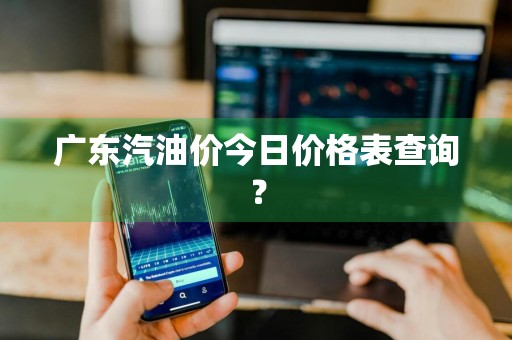 广东汽油价今日价格表查询？
