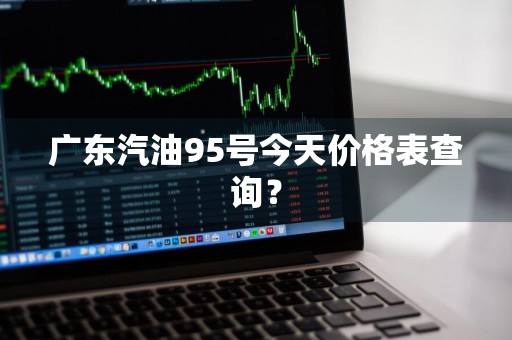广东汽油95号今天价格表查询？