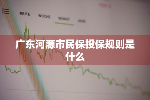 广东河源市民保投保规则是什么