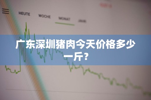 广东深圳猪肉今天价格多少一斤？