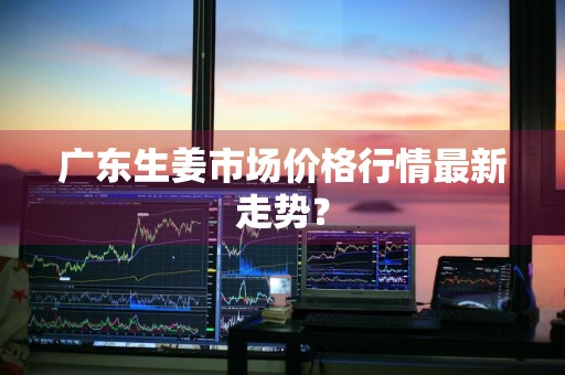 广东生姜市场价格行情最新走势？