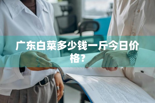 广东白菜多少钱一斤今日价格?