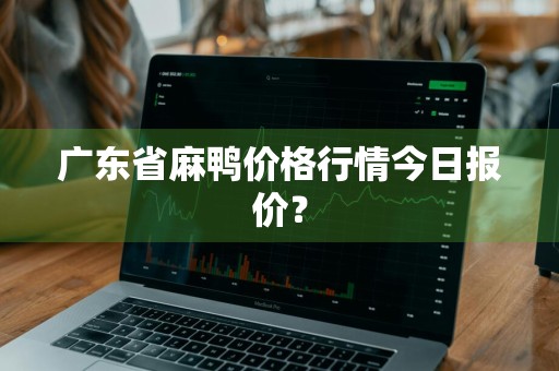 广东省麻鸭价格行情今日报价？