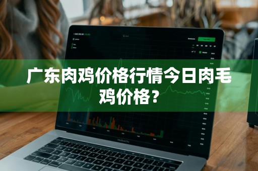 广东肉鸡价格行情今日肉毛鸡价格?
