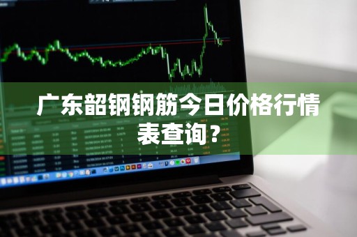 广东韶钢钢筋今日价格行情表查询？