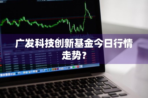 广发科技创新基金今日行情走势？
