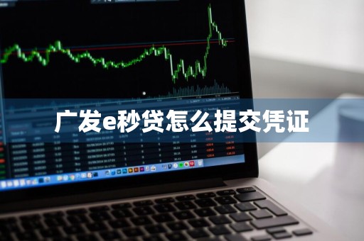 广发e秒贷怎么提交凭证