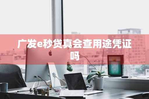 广发e秒贷真会查用途凭证吗