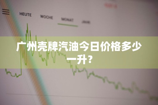 广州壳牌汽油今日价格多少一升？