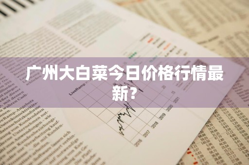 广州大白菜今日价格行情最新？