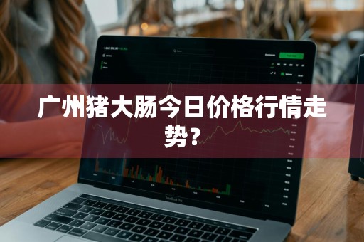 广州猪大肠今日价格行情走势?
