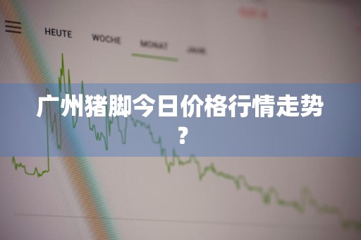 广州猪脚今日价格行情走势？