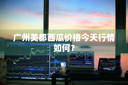 广州美都西瓜价格今天行情如何？
