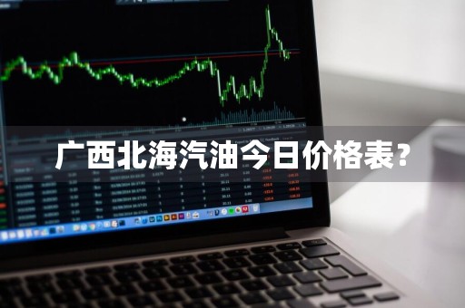 广西北海汽油今日价格表？