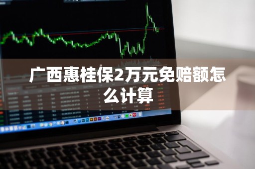 广西惠桂保2万元免赔额怎么计算