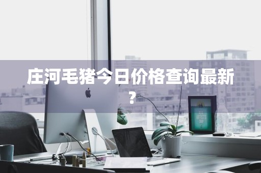 庄河毛猪今日价格查询最新？