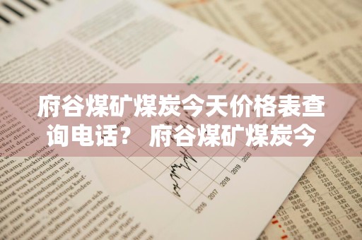 府谷煤矿煤炭今天价格表查询电话？ 府谷煤矿煤炭今天价格表查询电话是多少