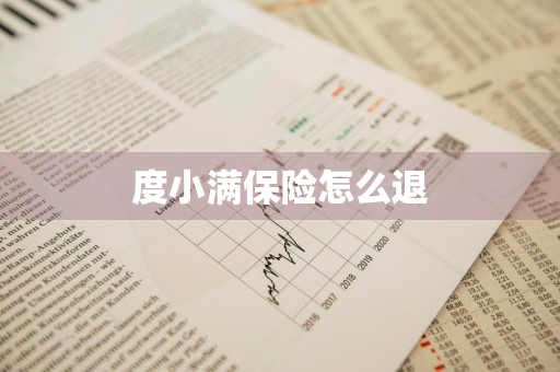 度小满保险怎么退