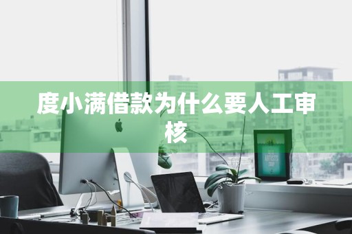 度小满借款为什么要人工审核
