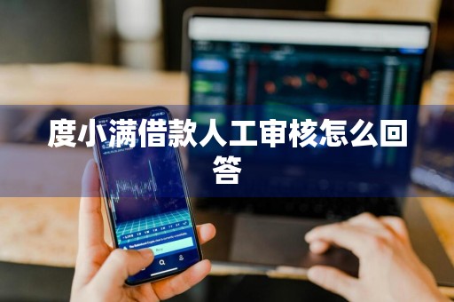 度小满借款人工审核怎么回答
