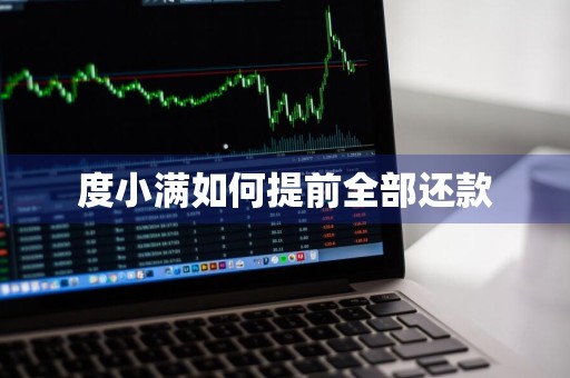 度小满如何提前全部还款