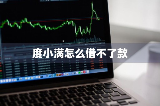 度小满怎么借不了款
