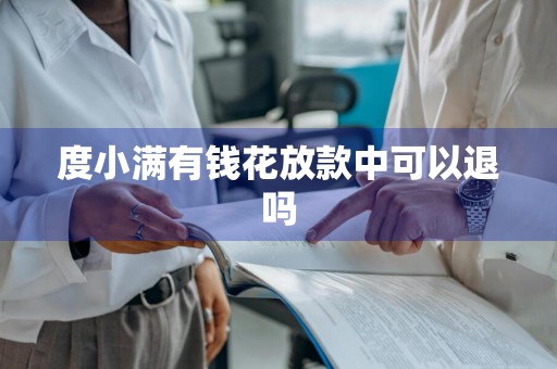 度小满有钱花放款中可以退吗