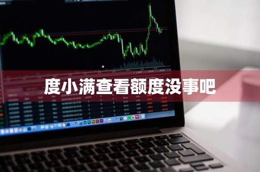 度小满查看额度没事吧