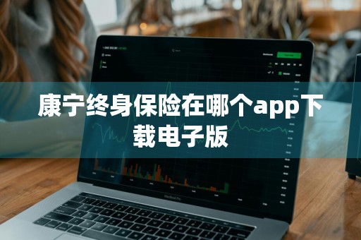 康宁终身保险在哪个app下载电子版