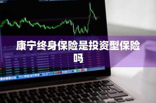 康宁终身保险是投资型保险吗