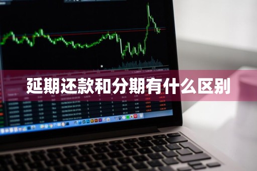 延期还款和分期有什么区别