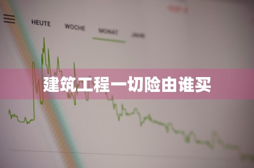 建筑工程一切险由谁买