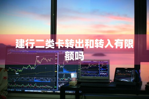 建行二类卡转出和转入有限额吗