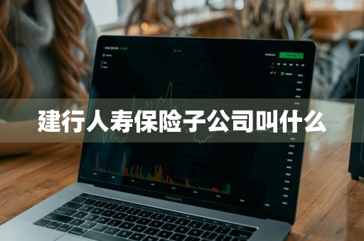建行人寿保险子公司叫什么