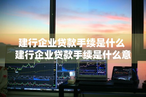 建行企业贷款手续是什么 建行企业贷款手续是什么意思