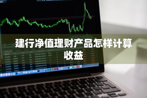 建行净值理财产品怎样计算收益