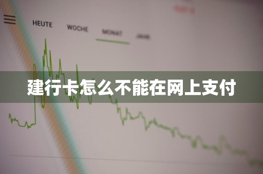建行卡怎么不能在网上支付