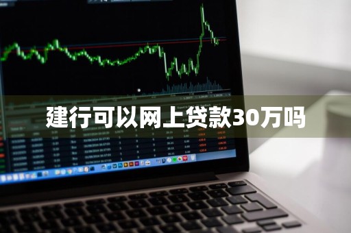 建行可以网上贷款30万吗