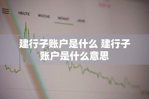 建行子账户是什么 建行子账户是什么意思