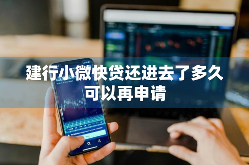 建行小微快贷还进去了多久可以再申请