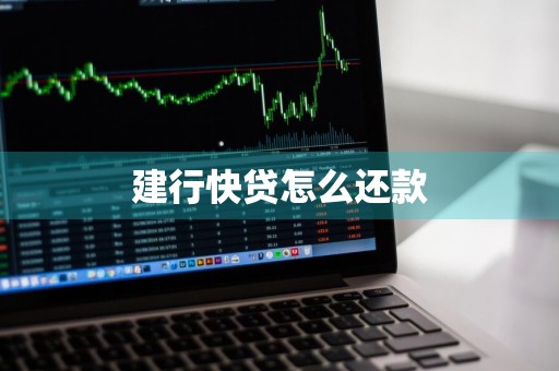 建行快贷怎么还款