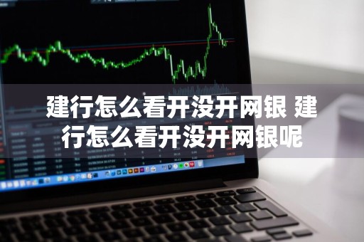 建行怎么看开没开网银 建行怎么看开没开网银呢