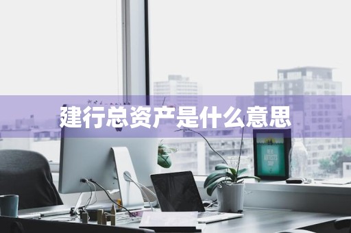 建行总资产是什么意思