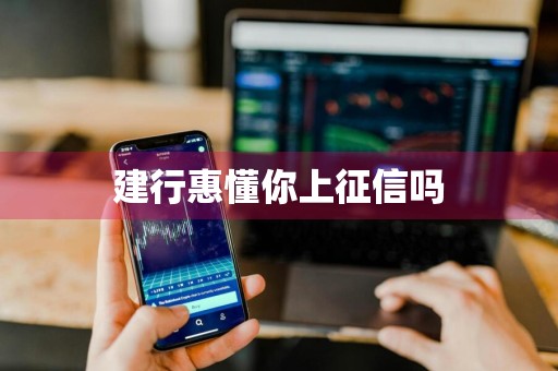 建行惠懂你上征信吗