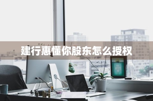 建行惠懂你股东怎么授权